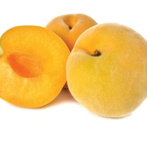 In season: Late summer golden queen peaches
