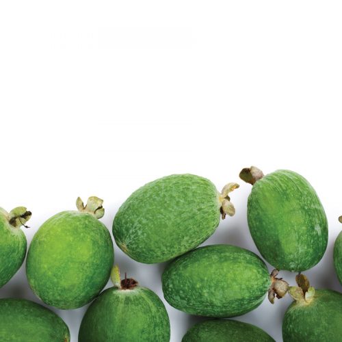The lost plot: How to grow feijoas