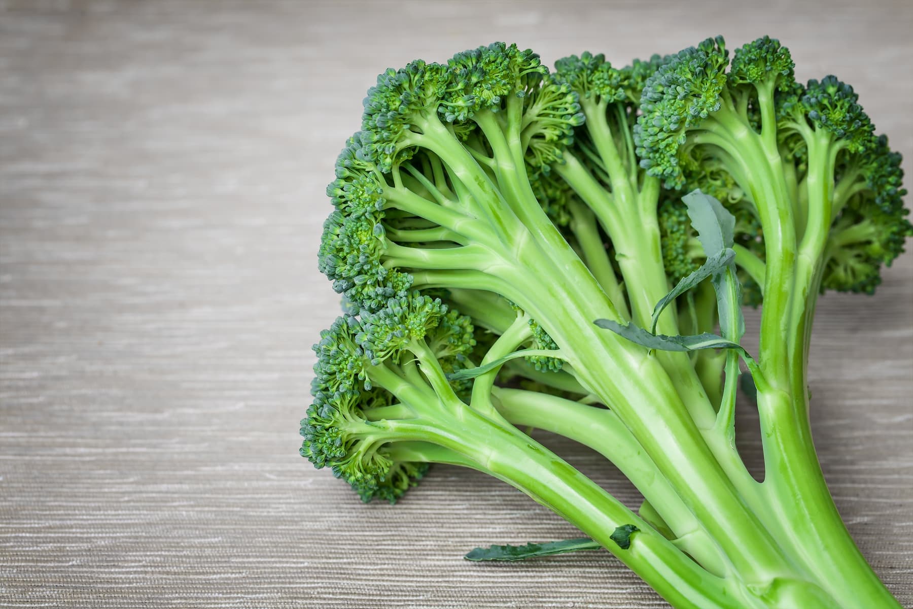  broccoli stalks