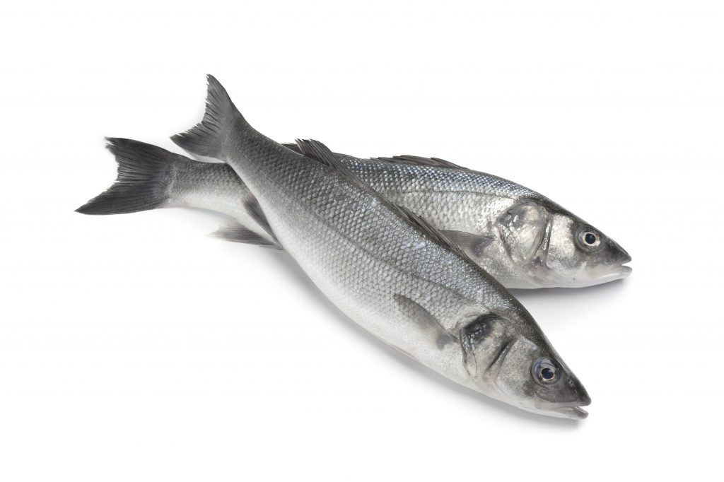 Ask the experts: Omega-3 from fish - Healthy Food Guide