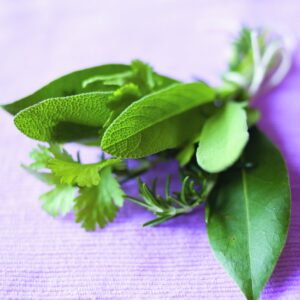 Back to basics: Herbs