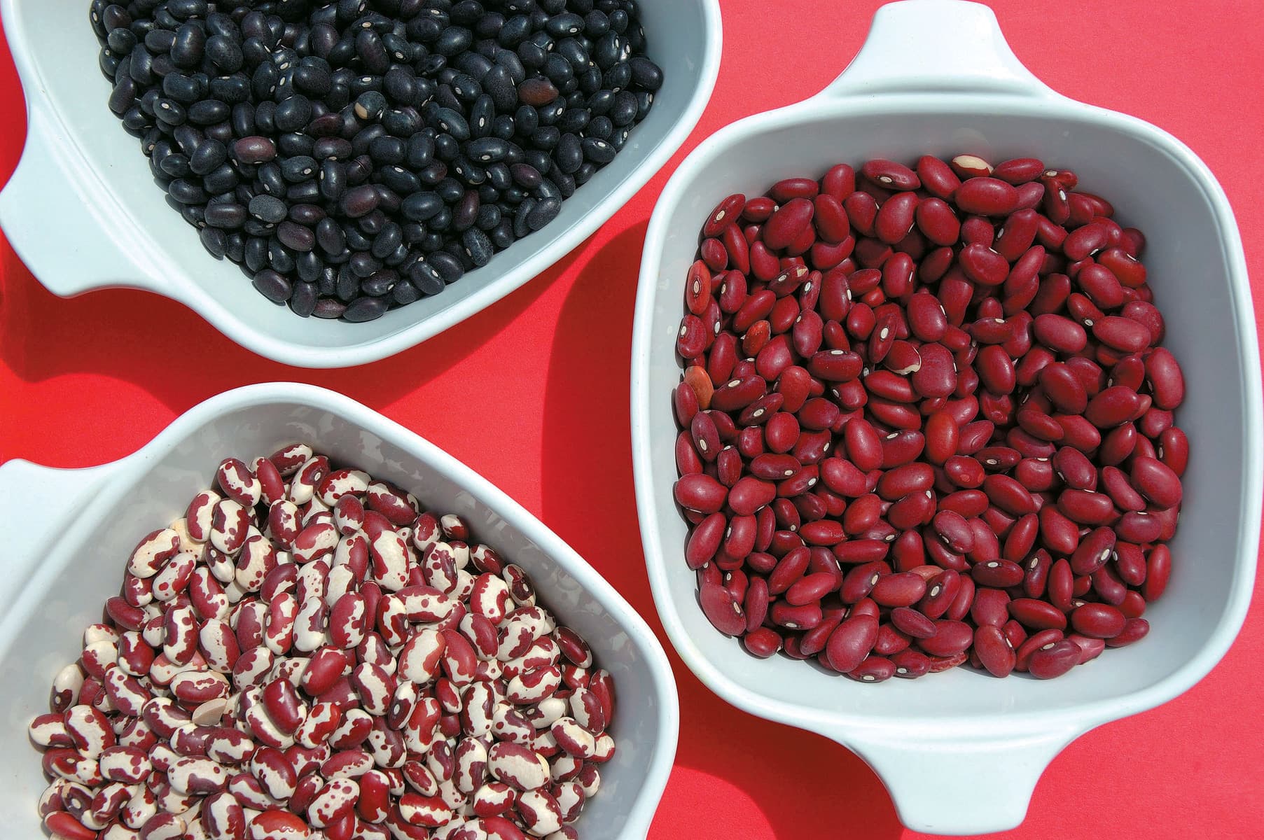 Eat well, spend less: The beginner's guide to beans - Healthy Food Guide