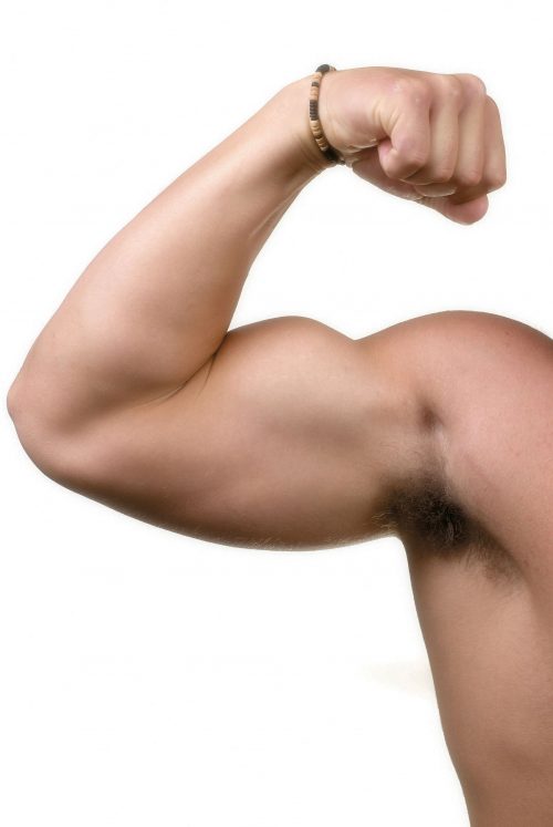 Fact or fiction: More protein means bigger muscles