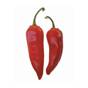 Fact or fiction: Spicy foods cause stomach ulcers