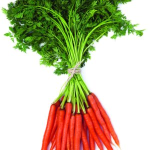 In season mid-autumn: Carrots