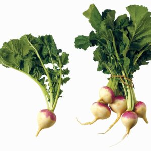 In season mid-autumn: Turnips