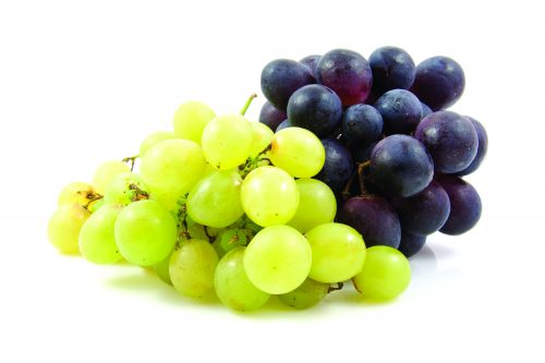 In season early autumn: Grapes