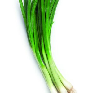 In season early autumn: Spring onions