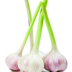 In season mid-spring: Garlic