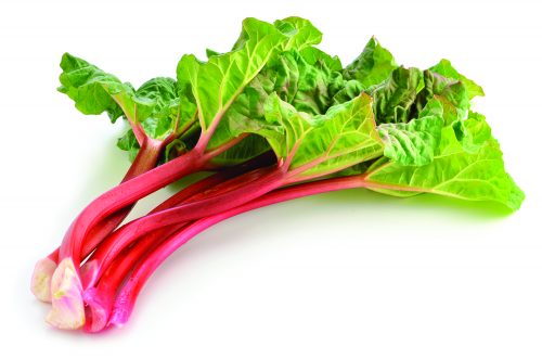 What Is Rhubarb and What Can You Do With It? - How to Cook It, Buy, and  Store