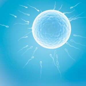 Infertility, the male perspective: How to boost your sperm