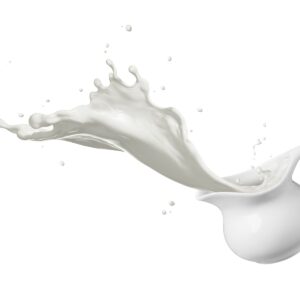 The skinny on dairy fat