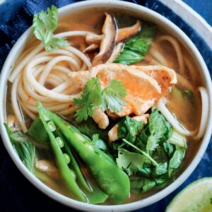 Spicy chicken and bok choy udon noodle soup