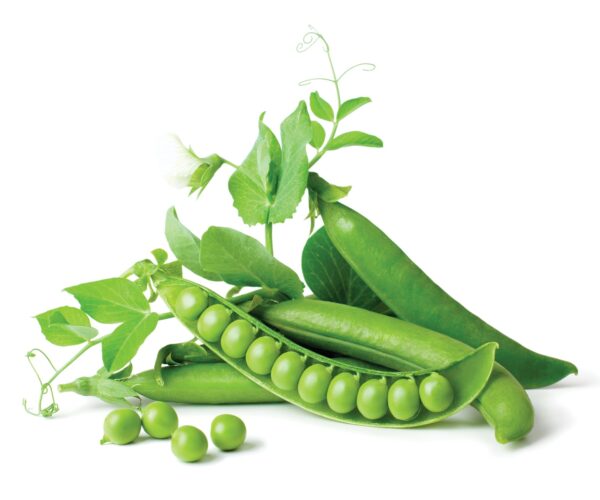 How to grow peas - Healthy Food Guide