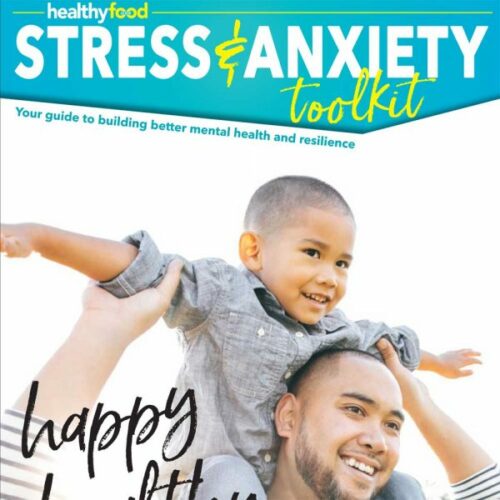 Healthy Food Guide Stress and Anxiety Toolkit
