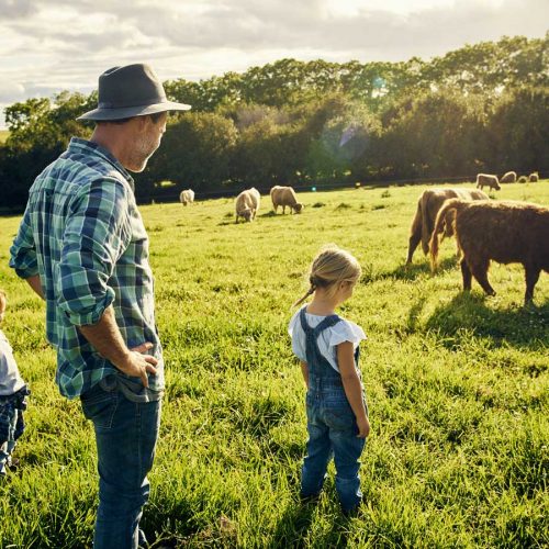 Male farmer and two kids looking at cows in a paddock
