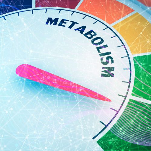 Why your metabolism may not be slowing with age
