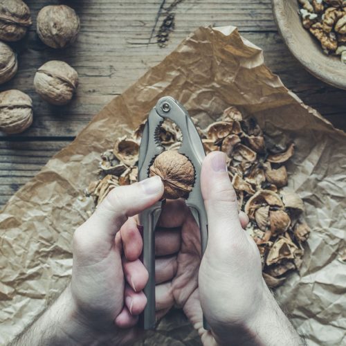 Cracking open a walnut with a nut cracker
