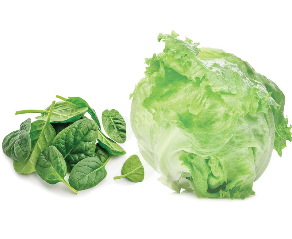 Image of Lettuce and spinach vegetables