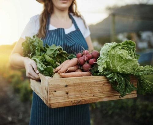 Everything you need to know about organic food