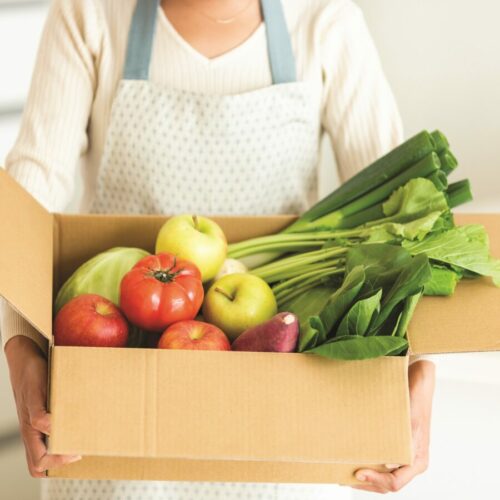 Your guide to meal delivery kits