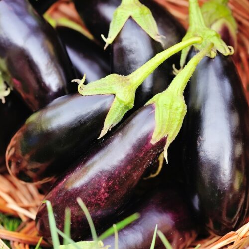5 health benefits of eggplant