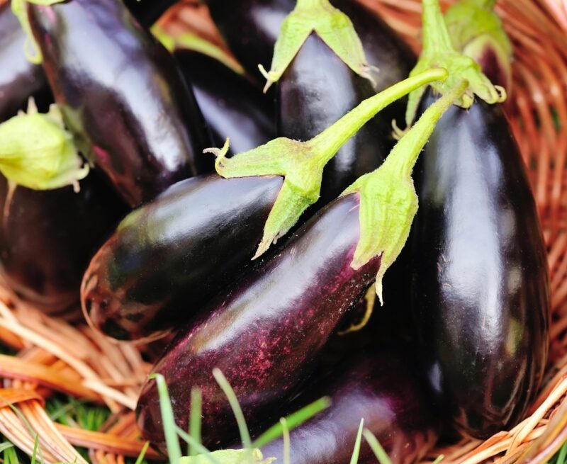 5 health benefits of eggplant