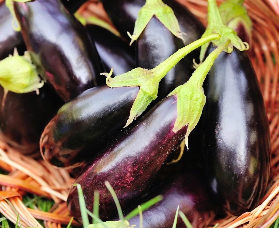 5 health benefits of eggplant - Healthy Food Guide