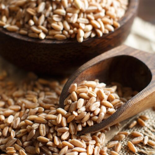 Your guide to good grains
